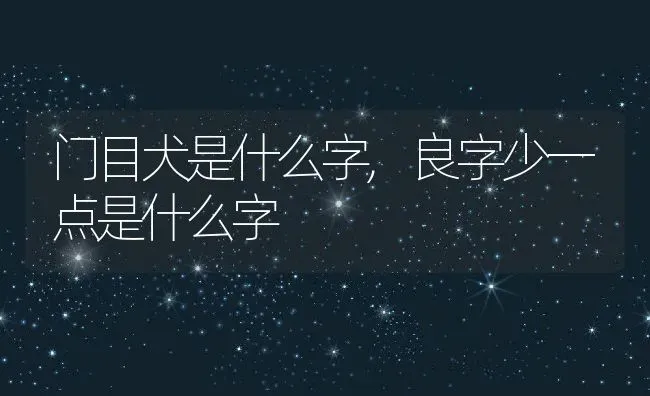 门目犬是什么字,良字少一点是什么字 | 宠物百科知识