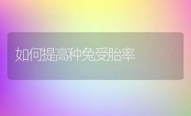 如何提高种兔受胎率 | 动物养殖学堂