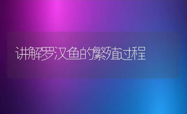 讲解罗汉鱼的繁殖过程 | 动物养殖饲料