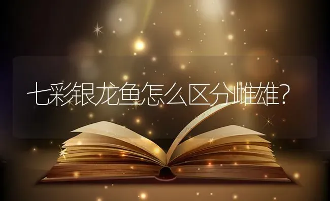 七彩银龙鱼怎么区分雌雄？ | 鱼类宠物饲养