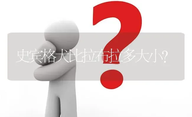 史宾格犬比拉布拉多大小？ | 动物养殖问答