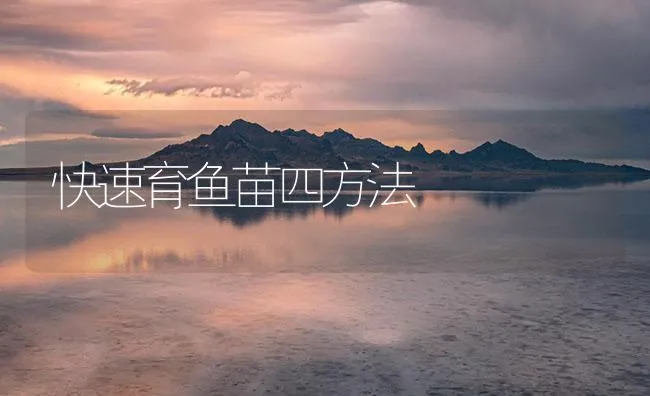 快速育鱼苗四方法 | 海水养殖技术