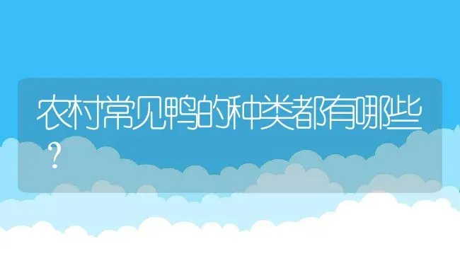 农村常见鸭的种类都有哪些？ | 动物养殖百科