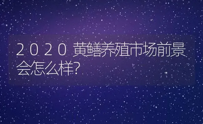 2020黄鳝养殖市场前景会怎么样？ | 动物养殖百科