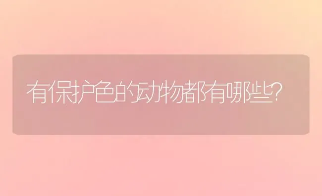 两只凤头百灵放一起老是打架怎么回事? | 动物养殖问答