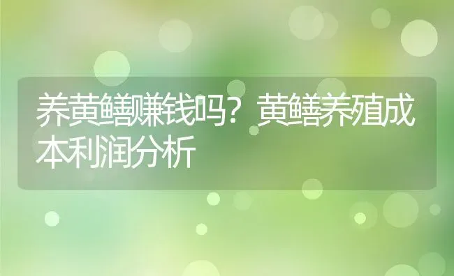 养黄鳝赚钱吗？黄鳝养殖成本利润分析 | 动物养殖百科