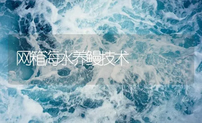 网箱海水养鳗技术 | 海水养殖技术