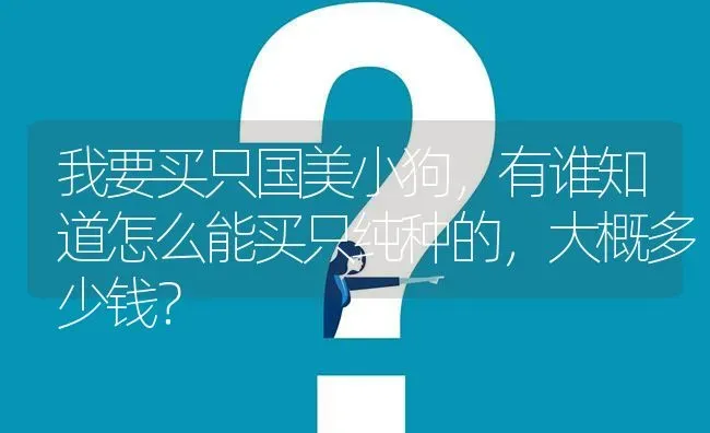 我要买只国美小狗，有谁知道怎么能买只纯种的，大概多少钱？ | 动物养殖问答