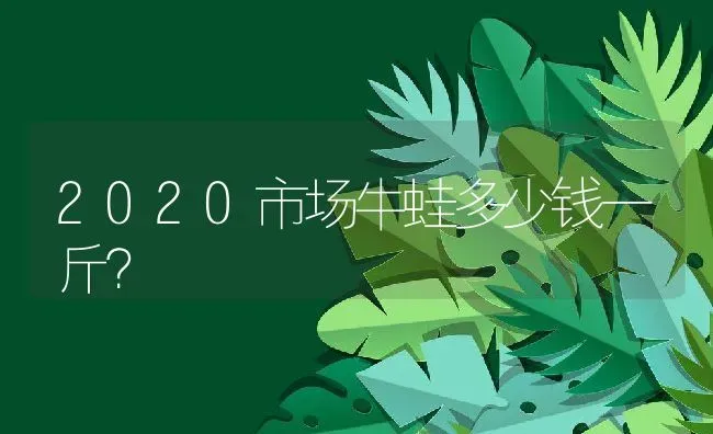 2020市场牛蛙多少钱一斤？ | 动物养殖百科