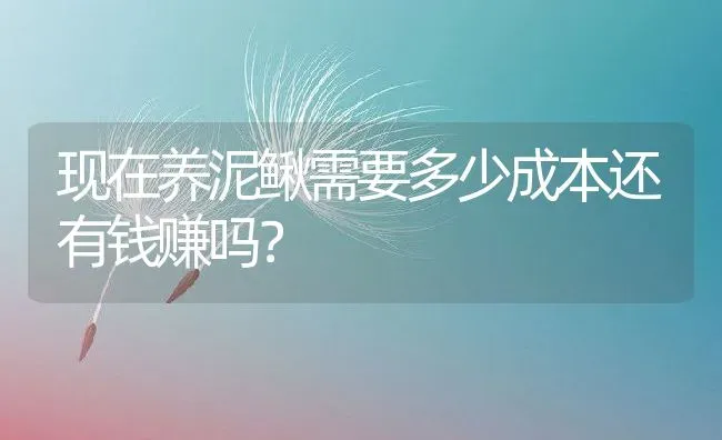 现在养泥鳅需要多少成本还有钱赚吗？ | 动物养殖百科