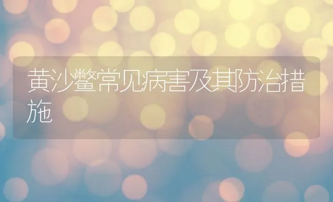 黄沙鳖常见病害及其防治措施 | 水产养殖知识
