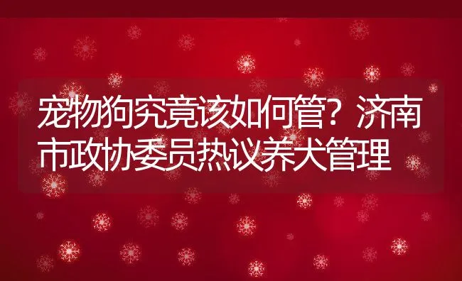 宠物狗究竟该如何管？济南市政协委员热议养犬管理 | 动物养殖饲料