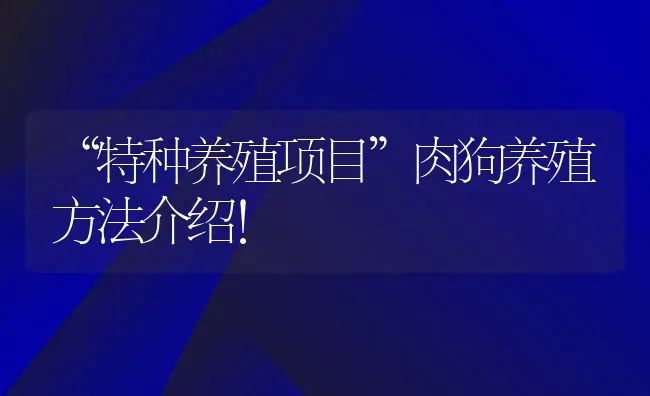 “特种养殖项目”肉狗养殖方法介绍！ | 动物养殖百科