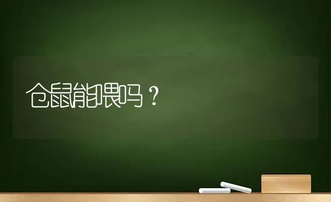 仓鼠能喂吗？ | 动物养殖问答