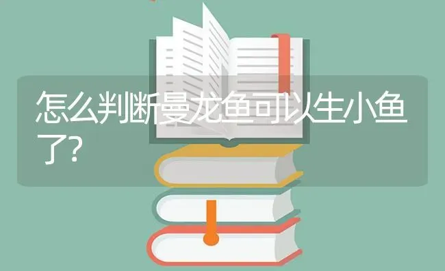 怎么判断曼龙鱼可以生小鱼了？ | 鱼类宠物饲养