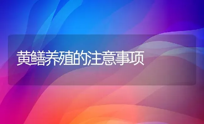 黄鳝养殖的注意事项 | 动物养殖百科