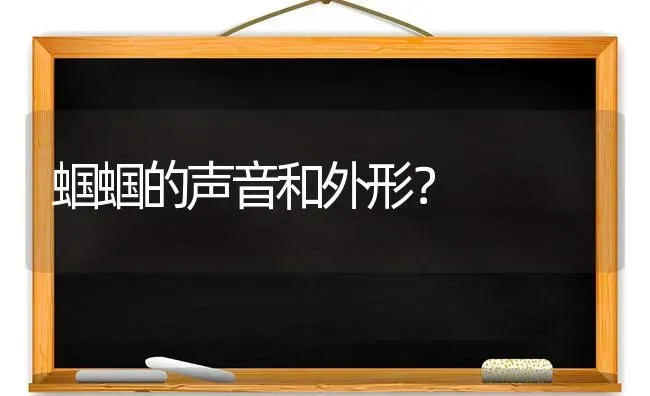 蝈蝈的声音和外形？ | 动物养殖问答