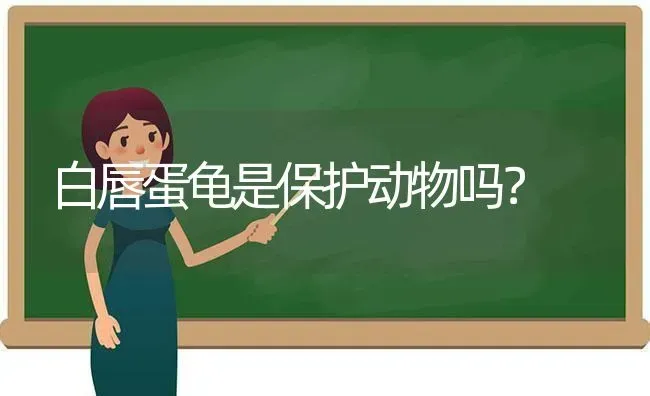 一岁半左右的比熊一般每天要吃多少狗粮啊？ | 动物养殖问答