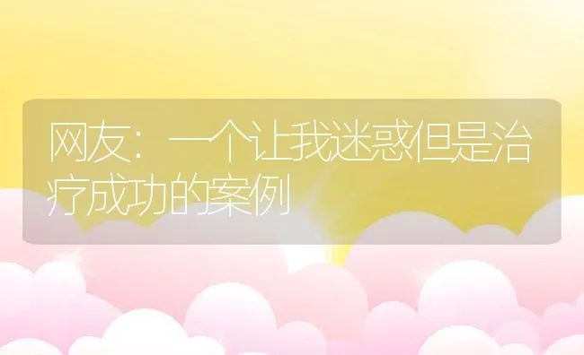 网友：一个让我迷惑但是治疗成功的案例 | 动物养殖学堂