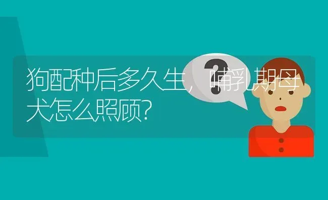 狗配种后多久生，哺乳期母犬怎么照顾？ | 动物养殖问答