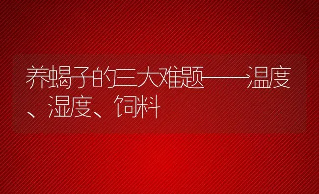 养蝎子的三大难题——温度、湿度、饲料 | 动物养殖教程