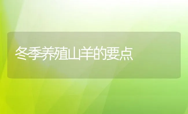 冬季养殖山羊的要点 | 动物养殖饲料