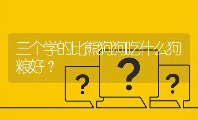 三个学的比熊狗狗吃什么狗粮好？ | 动物养殖问答