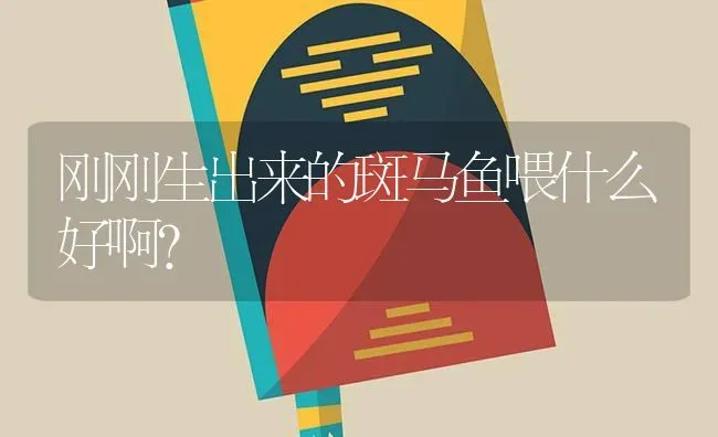 绿金面鹦鹉特点？ | 动物养殖问答