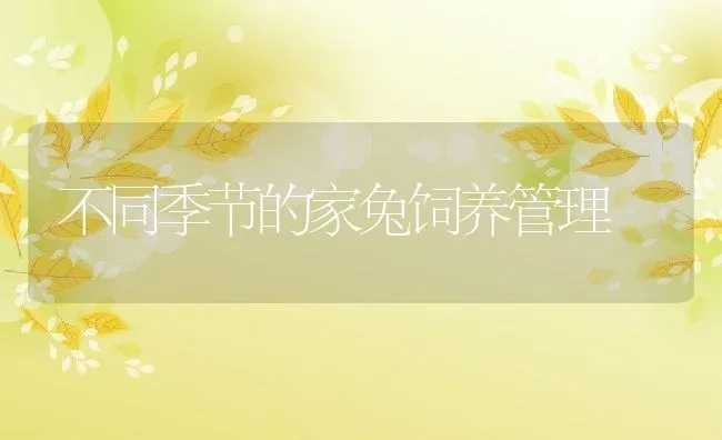 不同季节的家兔饲养管理 | 水产养殖知识