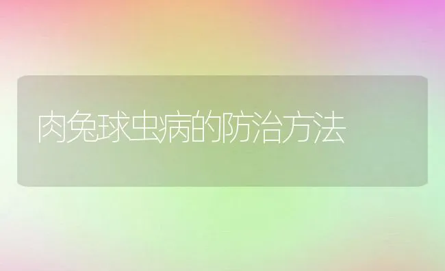 肉兔球虫病的防治方法 | 动物养殖学堂