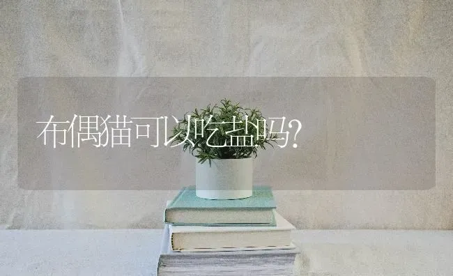 布偶猫可以吃盐吗？ | 动物养殖问答