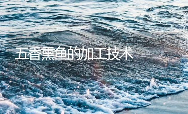 五香熏鱼的加工技术 | 海水养殖技术