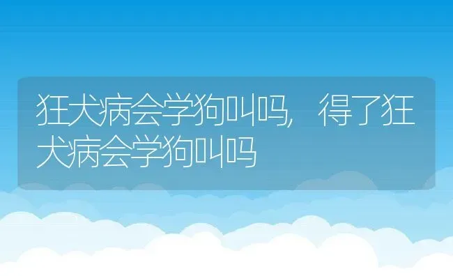 狂犬病会学狗叫吗,得了狂犬病会学狗叫吗 | 宠物百科知识