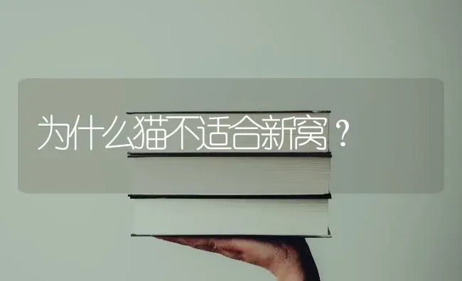 为什么猫不适合新窝？ | 动物养殖问答