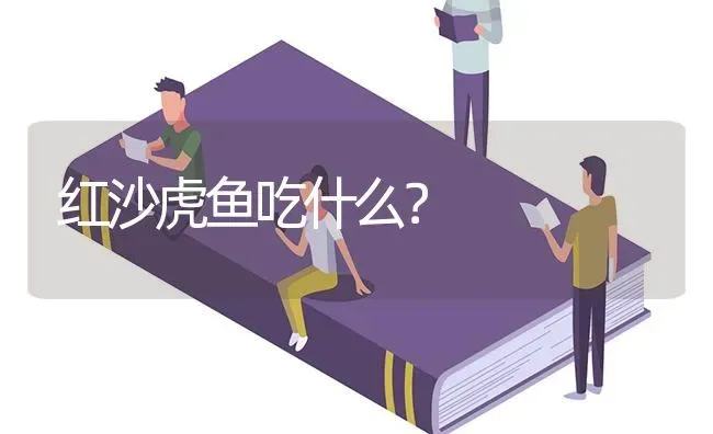 红沙虎鱼吃什么？ | 鱼类宠物饲养