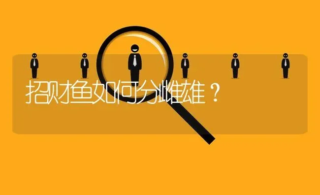 招财鱼如何分雌雄？ | 鱼类宠物饲养