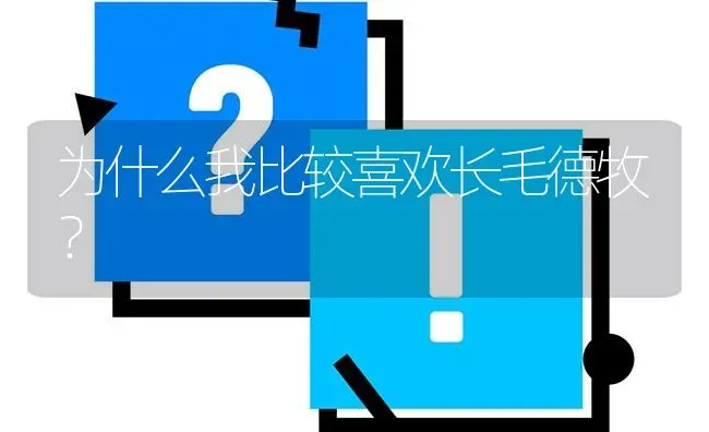 为什么我比较喜欢长毛德牧？ | 动物养殖问答