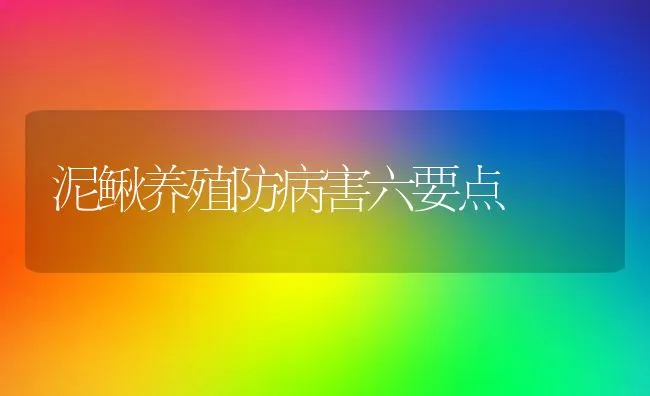 泥鳅养殖防病害六要点 | 动物养殖学堂