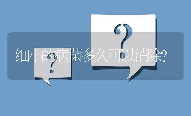 细小的病菌多久可以消除？ | 动物养殖问答