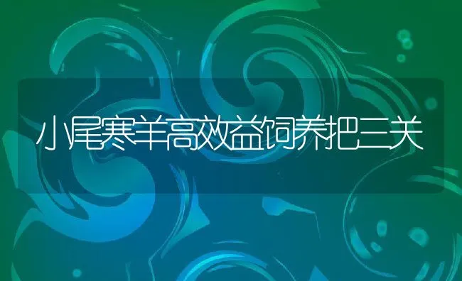 小尾寒羊高效益饲养把三关 | 动物养殖饲料