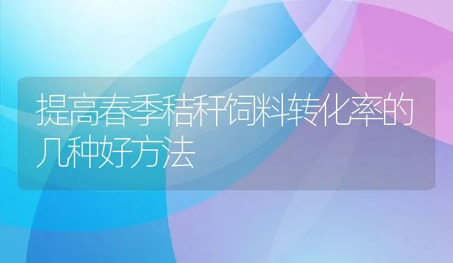 提高春季秸秆饲料转化率的几种好方法 | 动物养殖饲料