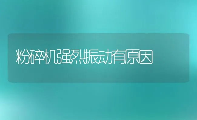 秋季饲养蛋鸡五要领 | 动物养殖学堂