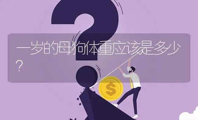 一岁的母狗体重应该是多少？ | 动物养殖问答