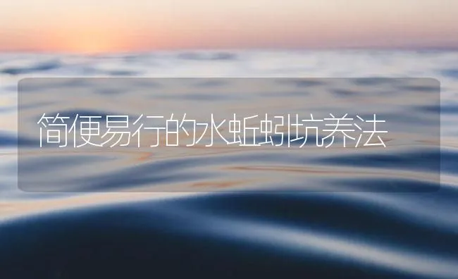 简便易行的水蚯蚓坑养法 | 海水养殖技术