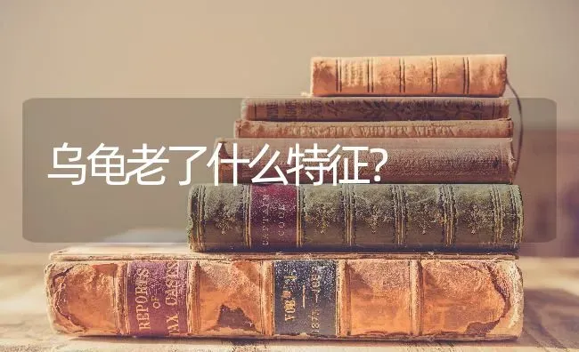 乌龟老了什么特征？ | 动物养殖问答