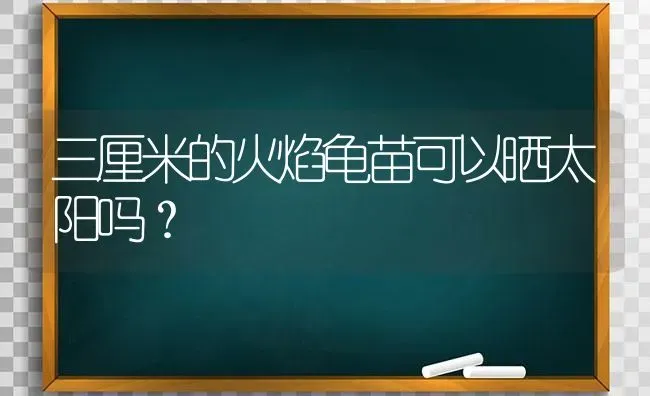 狗狗呕吐后该吃什么？ | 动物养殖问答