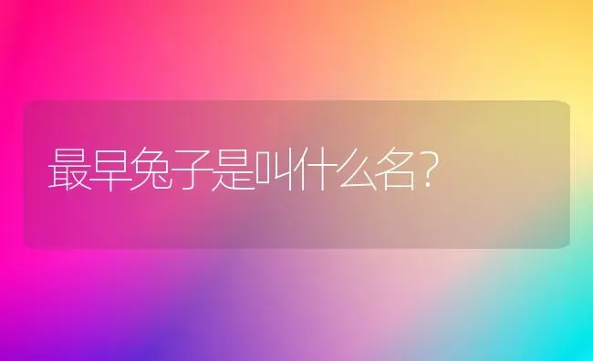 最早兔子是叫什么名？ | 动物养殖问答