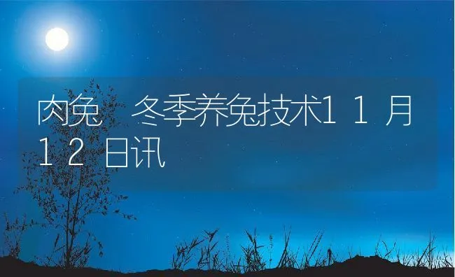 肉兔 冬季养兔技术11月12日讯 | 动物养殖饲料