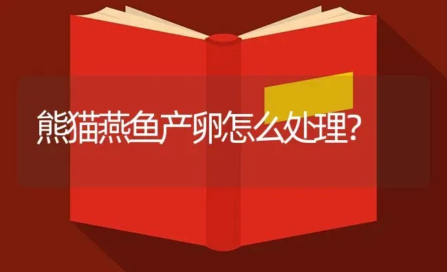 熊猫燕鱼产卵怎么处理？ | 鱼类宠物饲养