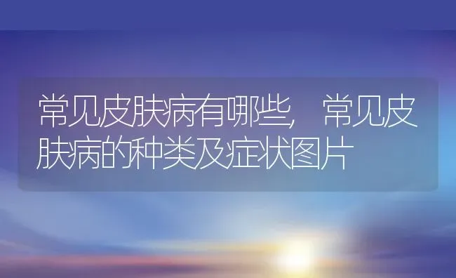 常见皮肤病有哪些,常见皮肤病的种类及症状图片 | 宠物百科知识